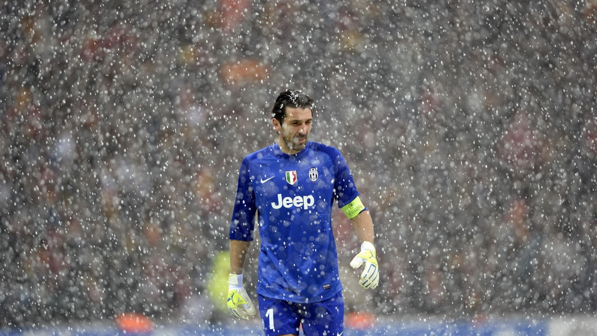 新人崭露头角,未来之星冉冉升起!,请问未来之星的意思是什么